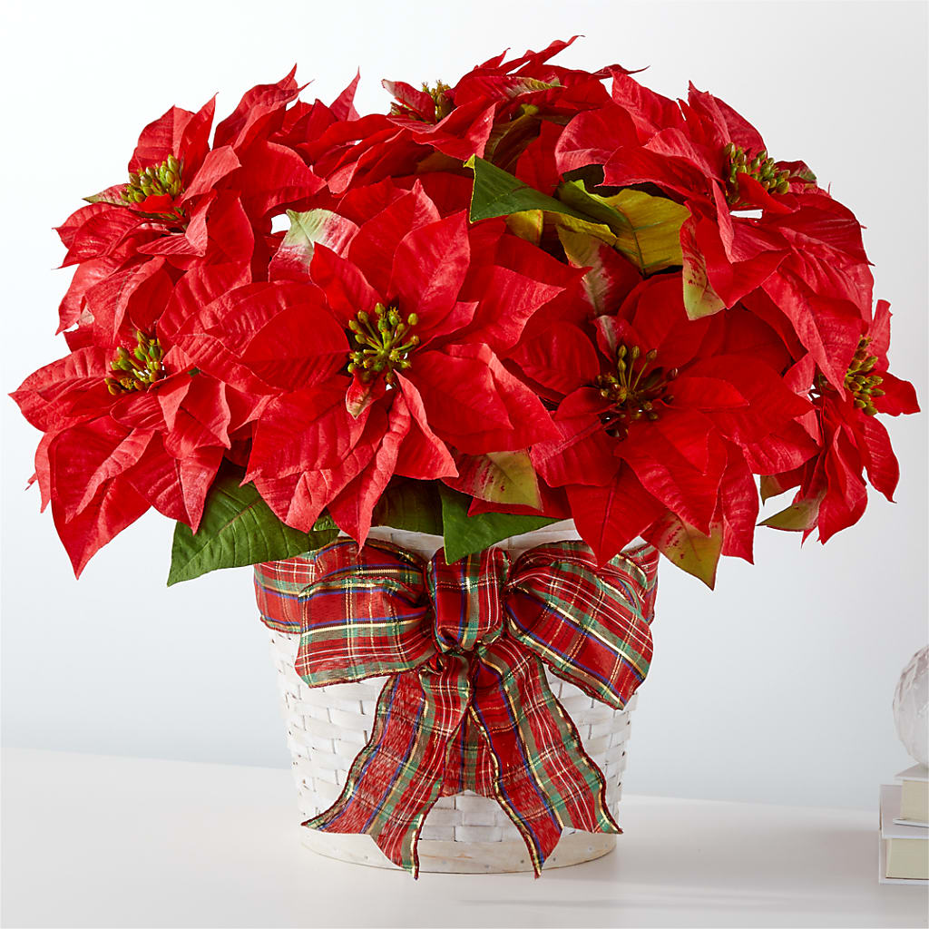Happiest Holidays Poinsettia – MIDTOWN FLORIST, Kenosha WI
