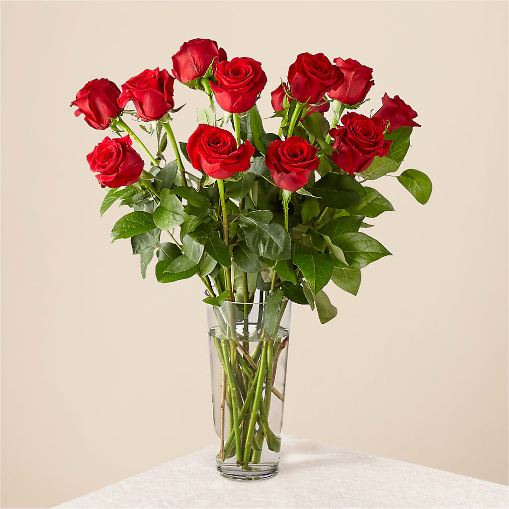Long Stem Red Rose Bouquet – Aiello Mid-town Florist, Kenosha WI