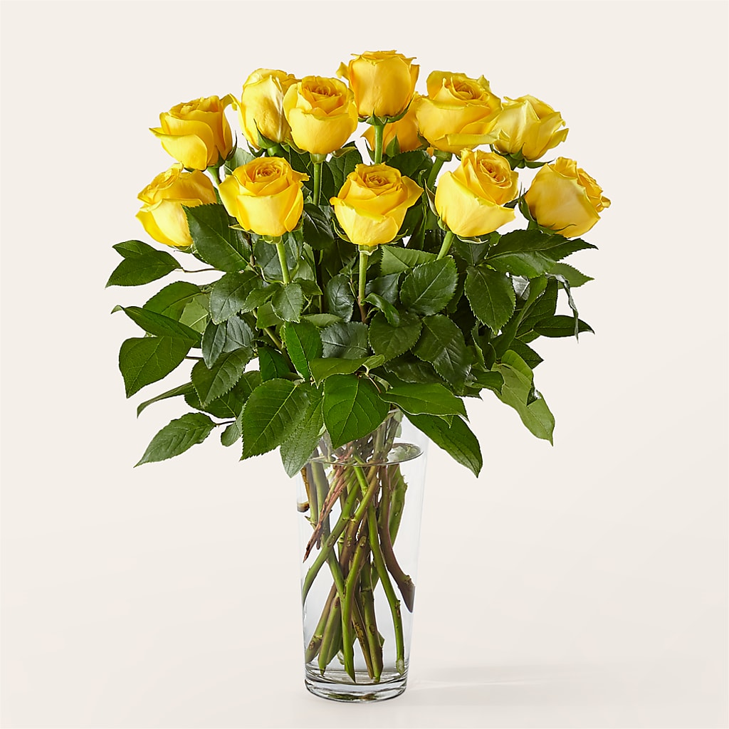 Long Stem Yellow Rose Bouquet – MIDTOWN FLORIST, Kenosha WI