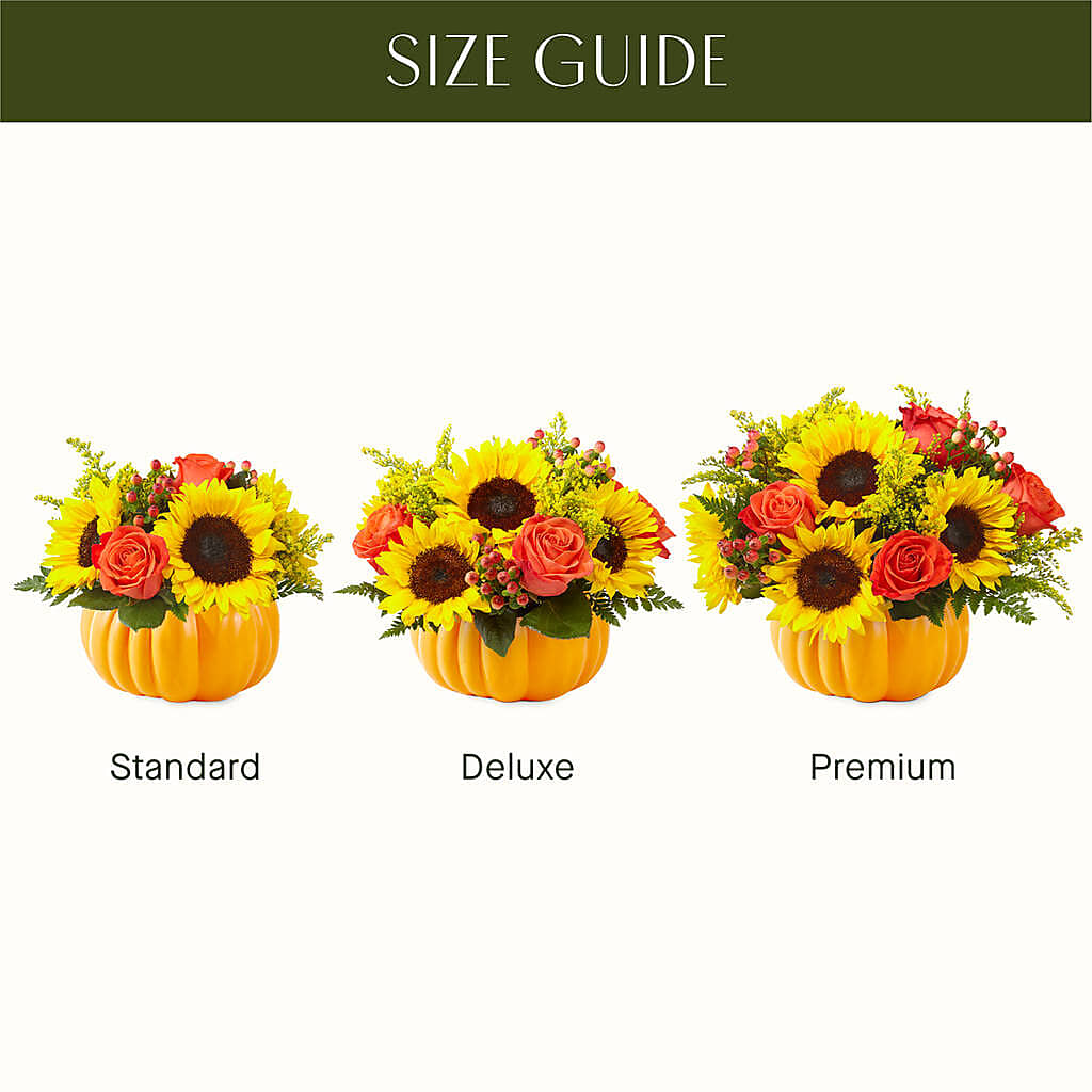 Pick of the Patch Pumpkin Bouquet – Aiello Mid-town Florist INC, Kenosha WI