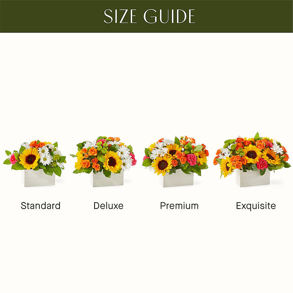 Sun-drenched Blooms Box Bouquet – Aiello Mid-town Florist, Kenosha WI