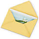 Greeting Card – MIDTOWN FLORIST, Kenosha WI