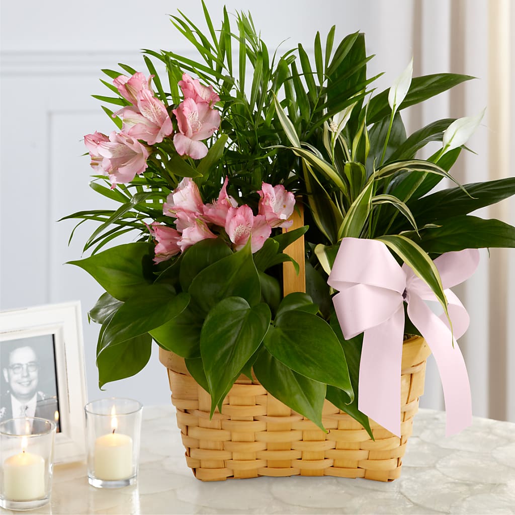 Living Spirit Dishgarden – Midtown Florist, Kenosha WI