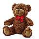 Teddy Bear – MIDTOWN FLORIST, Kenosha WI