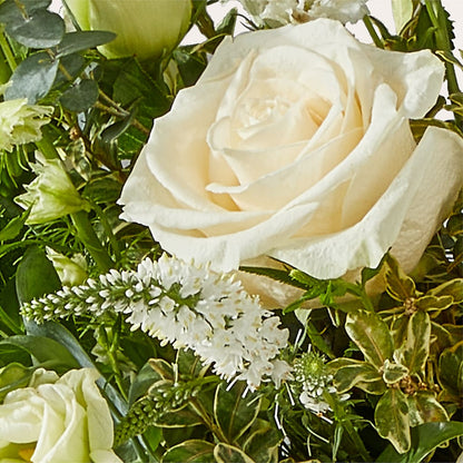 Cashmere Bouquet –  Aiello Mid-town Florist, Kenosha WI