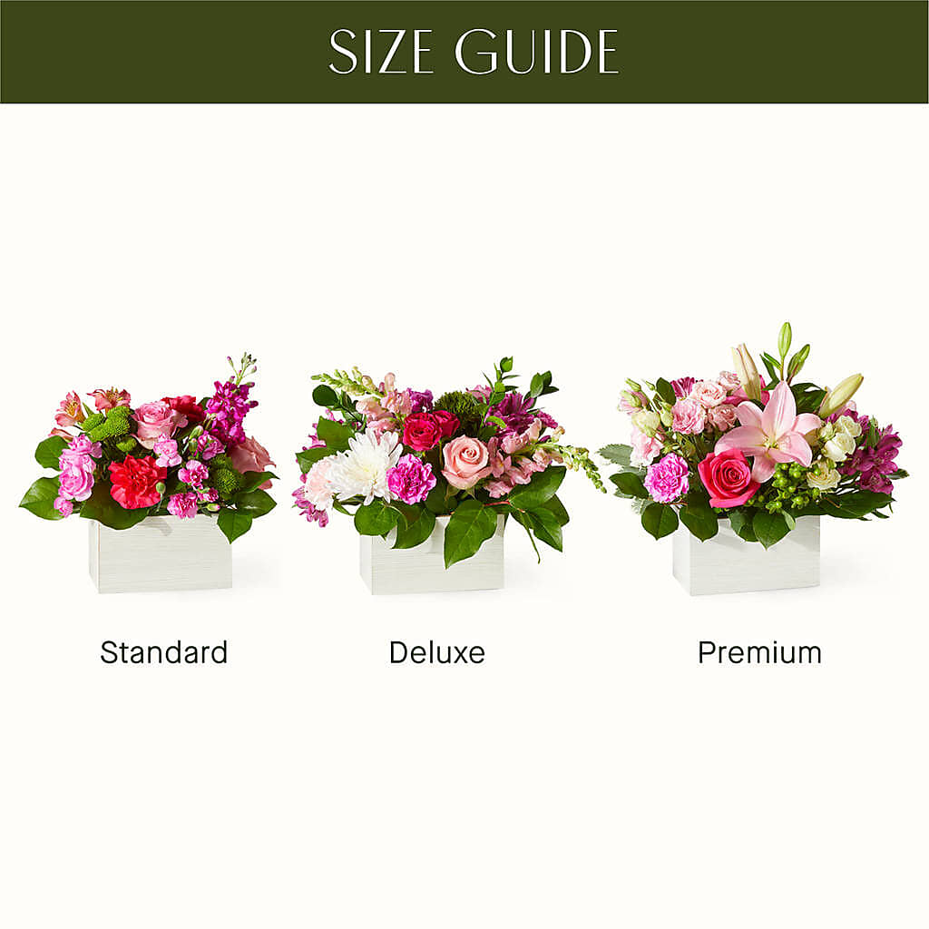 Sweetberry Box – A Florist Original –  Aiello Mid-town Florist INC, Kenosha WI