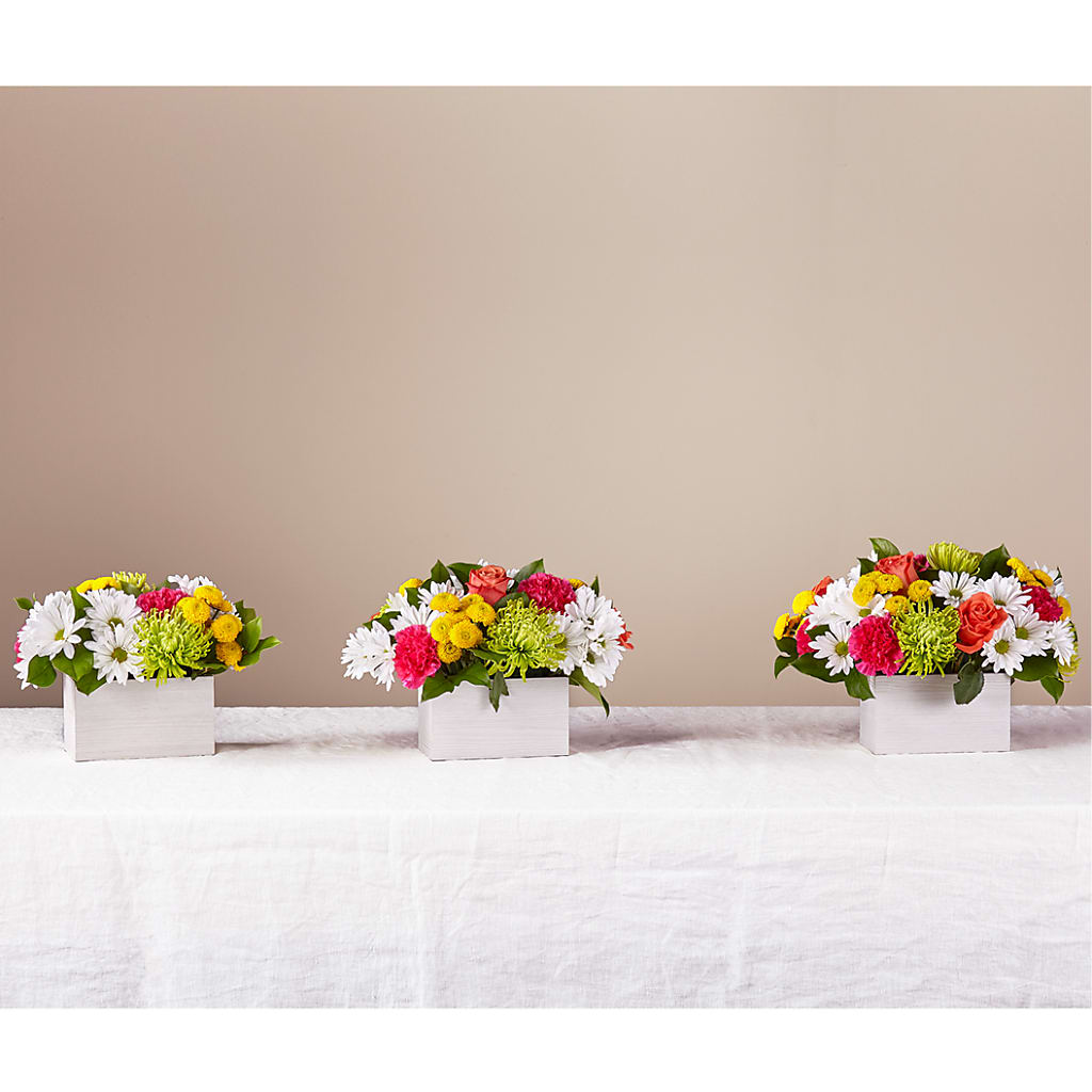 Sorbet Bouquet –  Aiello Mid-town Florist, Kenosha WI