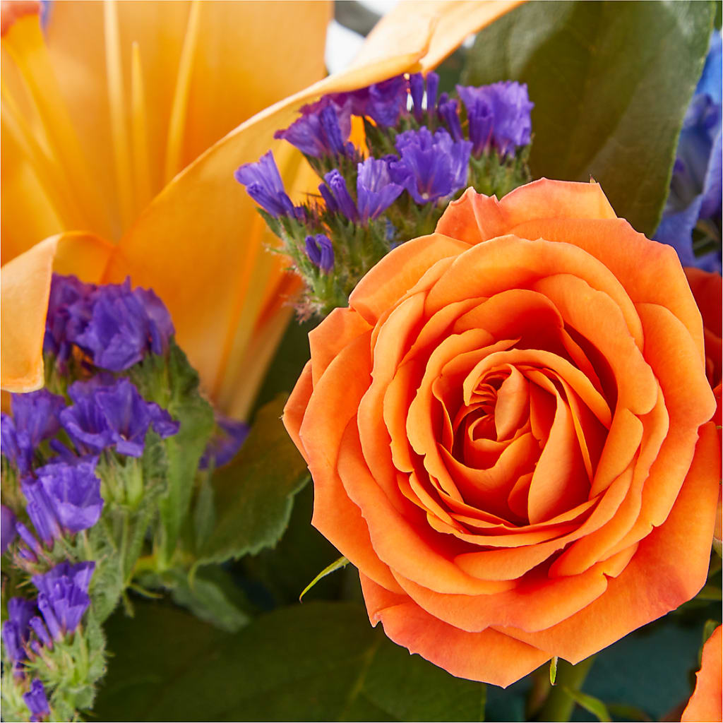 Radiant Citrus Box Bouquet –  Aiello Mid-town Florist, Kenosha WI