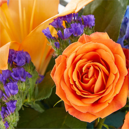 Radiant Citrus Box Bouquet –  Aiello Mid-town Florist, Kenosha WI