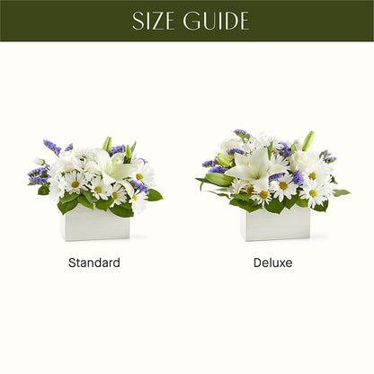 Beyond Blue Box Bouquet –  Aiello Mid-town Florist, Kenosha WI