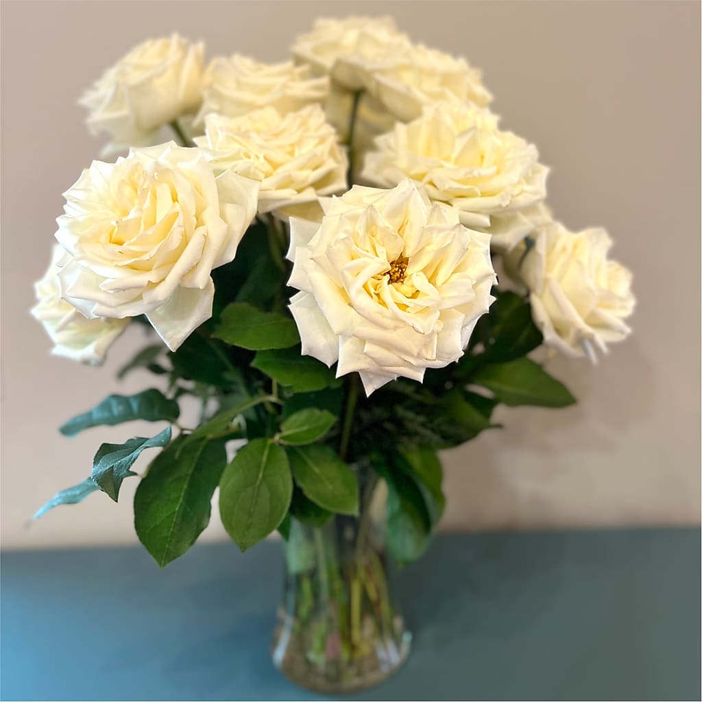 Long Stem Yellow Rose Bouquet –  Aiello Mid-town Florist, Kenosha WI