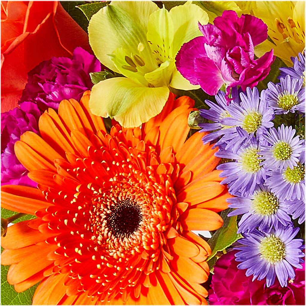 Tricks & Treats Pumpkin –  Aiello Mid-town Florist, Kenosha WI