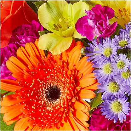 Tricks & Treats Pumpkin –  Aiello Mid-town Florist, Kenosha WI