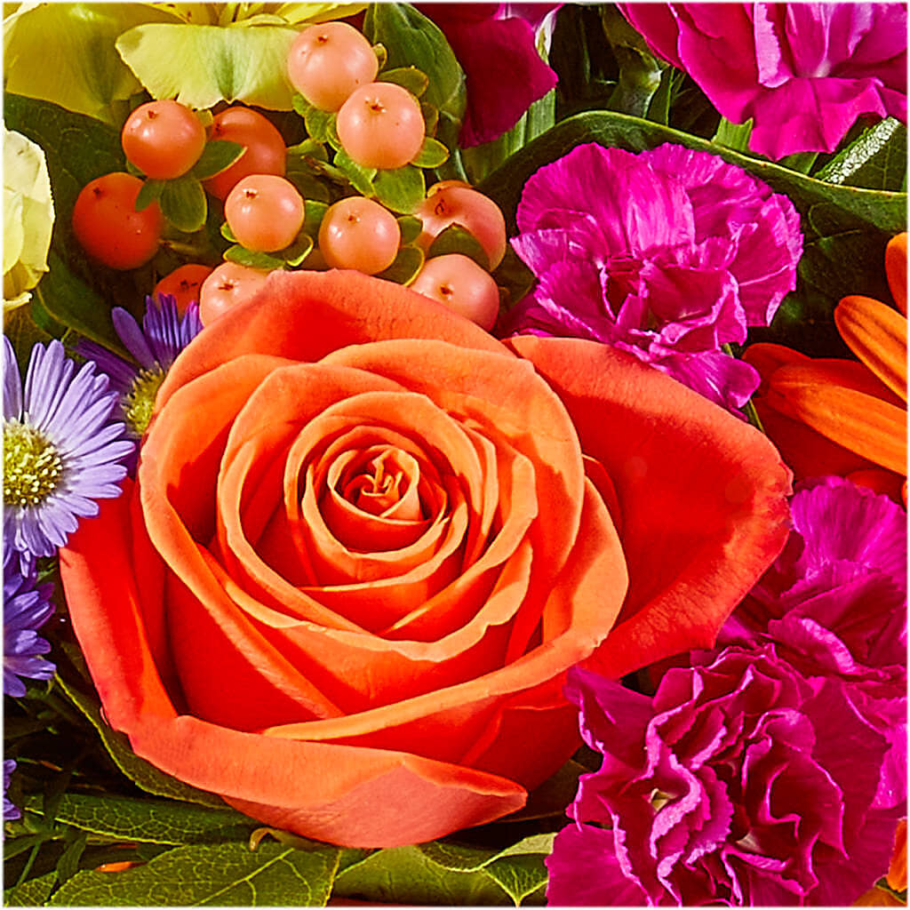 Tricks & Treats Pumpkin –  Aiello Mid-town Florist, Kenosha WI
