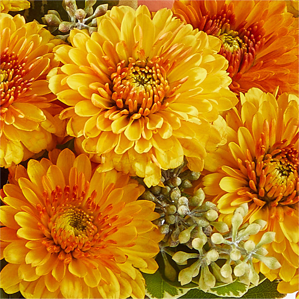 Peachy Pumpkin –  Aiello Mid-town Florist, Kenosha WI