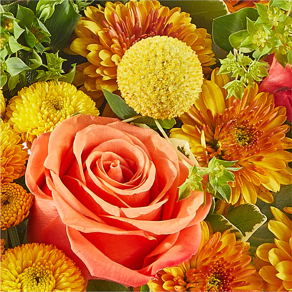 Gourdgeous Pumpkin –  Aiello Mid-town Florist, Kenosha WI