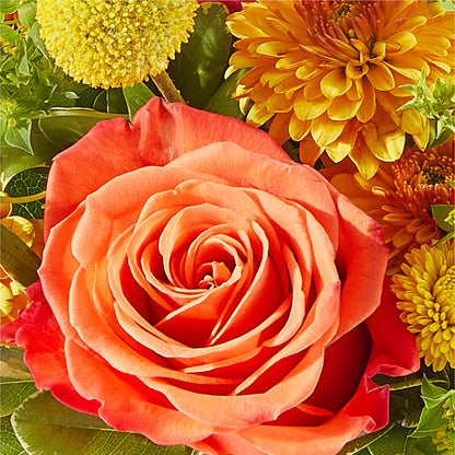 Gourdgeous Pumpkin –  Aiello Mid-town Florist, Kenosha WI