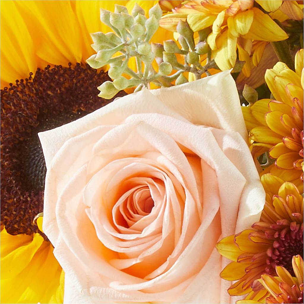 Pumpkin to Talk About Bouquet –  Aiello Mid-town Florist, Kenosha WI