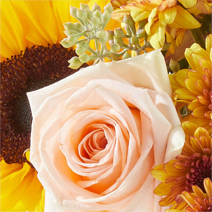 Pumpkin to Talk About Bouquet –  Aiello Mid-town Florist, Kenosha WI