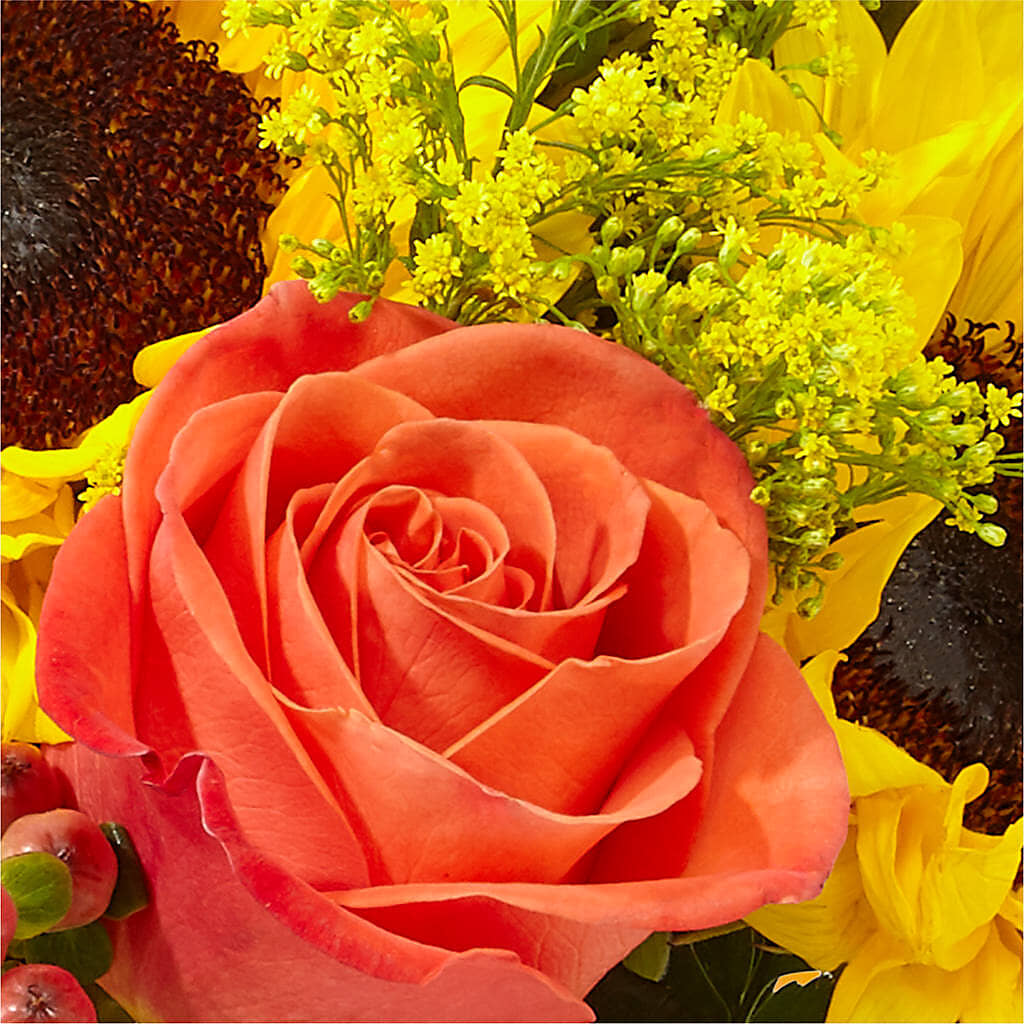 Pick of the Patch Pumpkin Bouquet –  Aiello Mid-town Florist INC, Kenosha WI