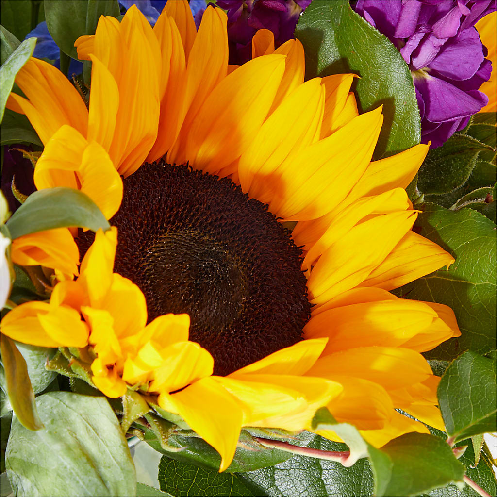 Catching Rays Bouquet –  Aiello Mid-town Florist, Kenosha WI