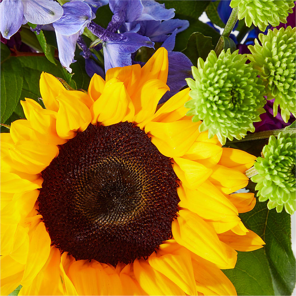 Catching Rays Bouquet –  Aiello Mid-town Florist, Kenosha WI