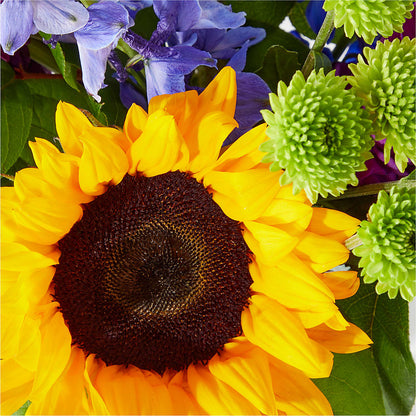 Catching Rays Bouquet –  Aiello Mid-town Florist, Kenosha WI