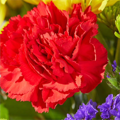 Brighter Days Bouquet –  Aiello Mid-town Florist, Kenosha WI