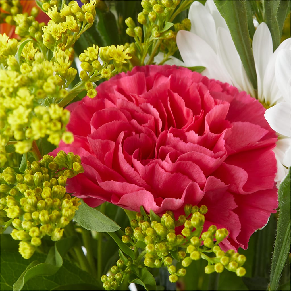 Oopsie Daisy Bouquet –  Aiello Mid-town Florist, Kenosha WI