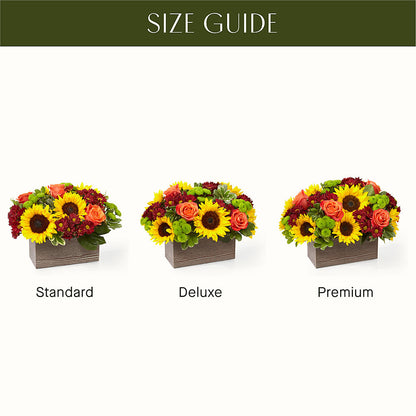 Happy Harvest Garden –  Aiello Mid-town Florist, Kenosha WI