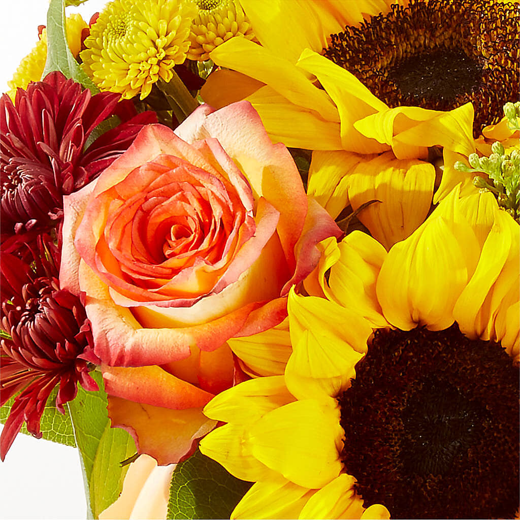 Golden Gourd Pumpkin Bouquet –  Aiello Mid-town Florist INC, Kenosha WI