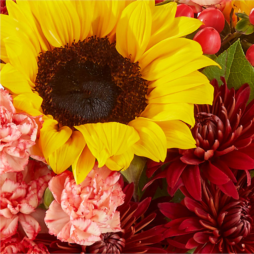 Fresh Cider Bouquet –  Aiello Mid-town Florist, Kenosha WI