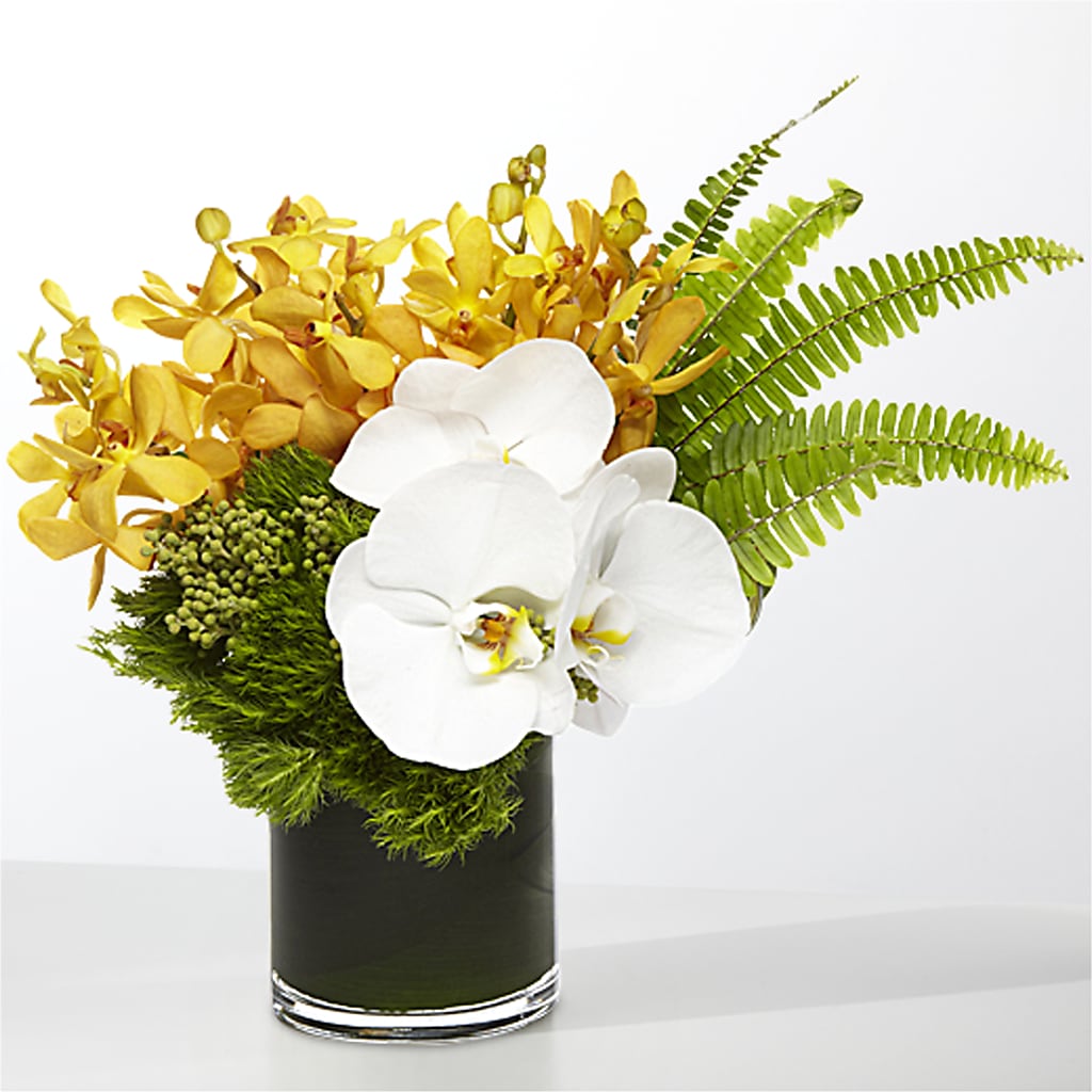 The Tropics –  Midtown Florist, Kenosha WI