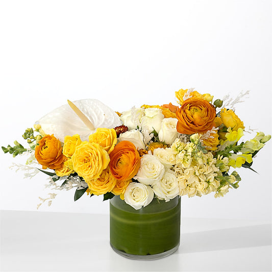 The Optimist –  Midtown Florist, Kenosha WI