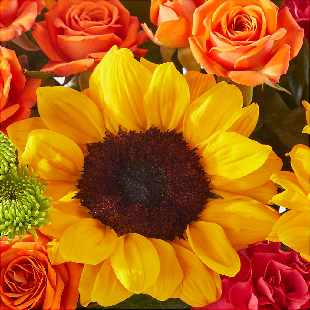 Sun-drenched Blooms Box Bouquet –  Aiello Mid-town Florist, Kenosha WI