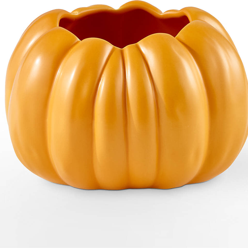 Golden Gourd Pumpkin Bouquet –  Aiello Mid-town Florist INC, Kenosha WI