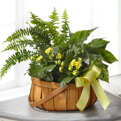 Always Dear Dishgarden – MIDTOWN FLORIST, Kenosha WI