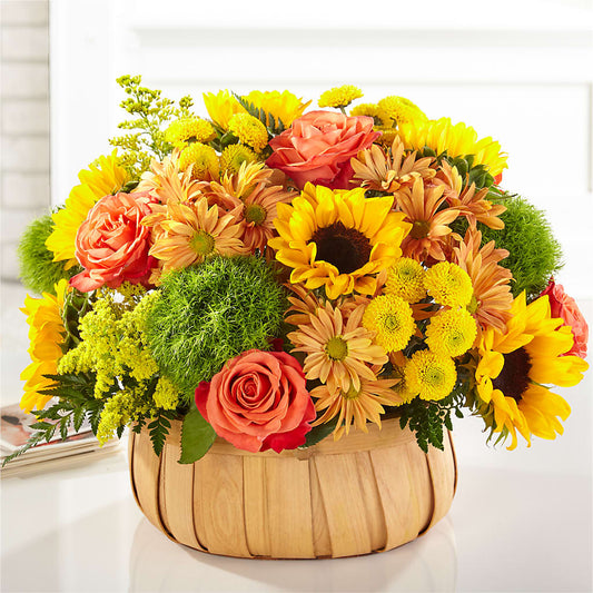 Harvest Sunflower Basket –  Aiello Mid-town Florist, Kenosha WI
