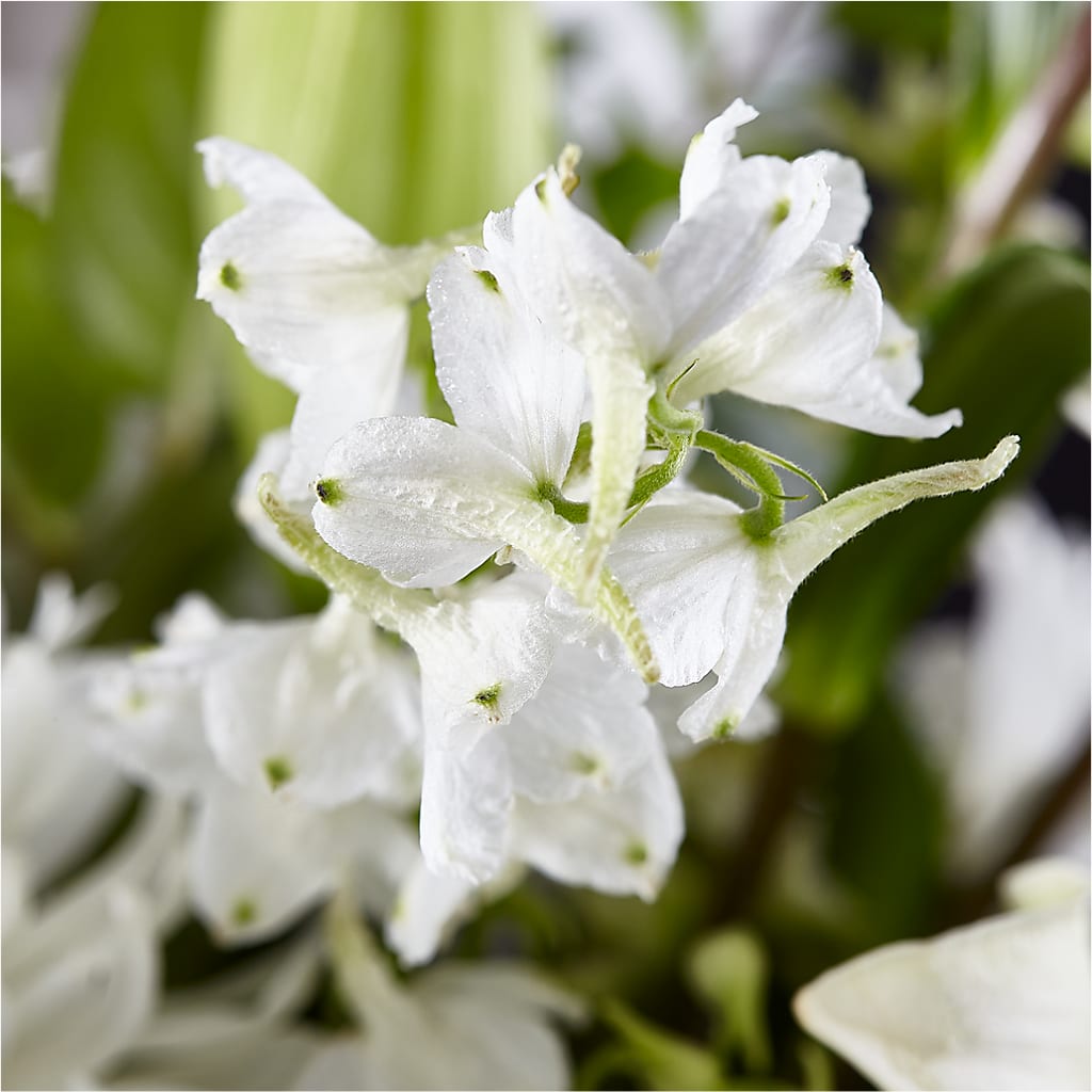 Classic Ivory – A Florist Original –  Aiello Mid-town Florist, Kenosha WI