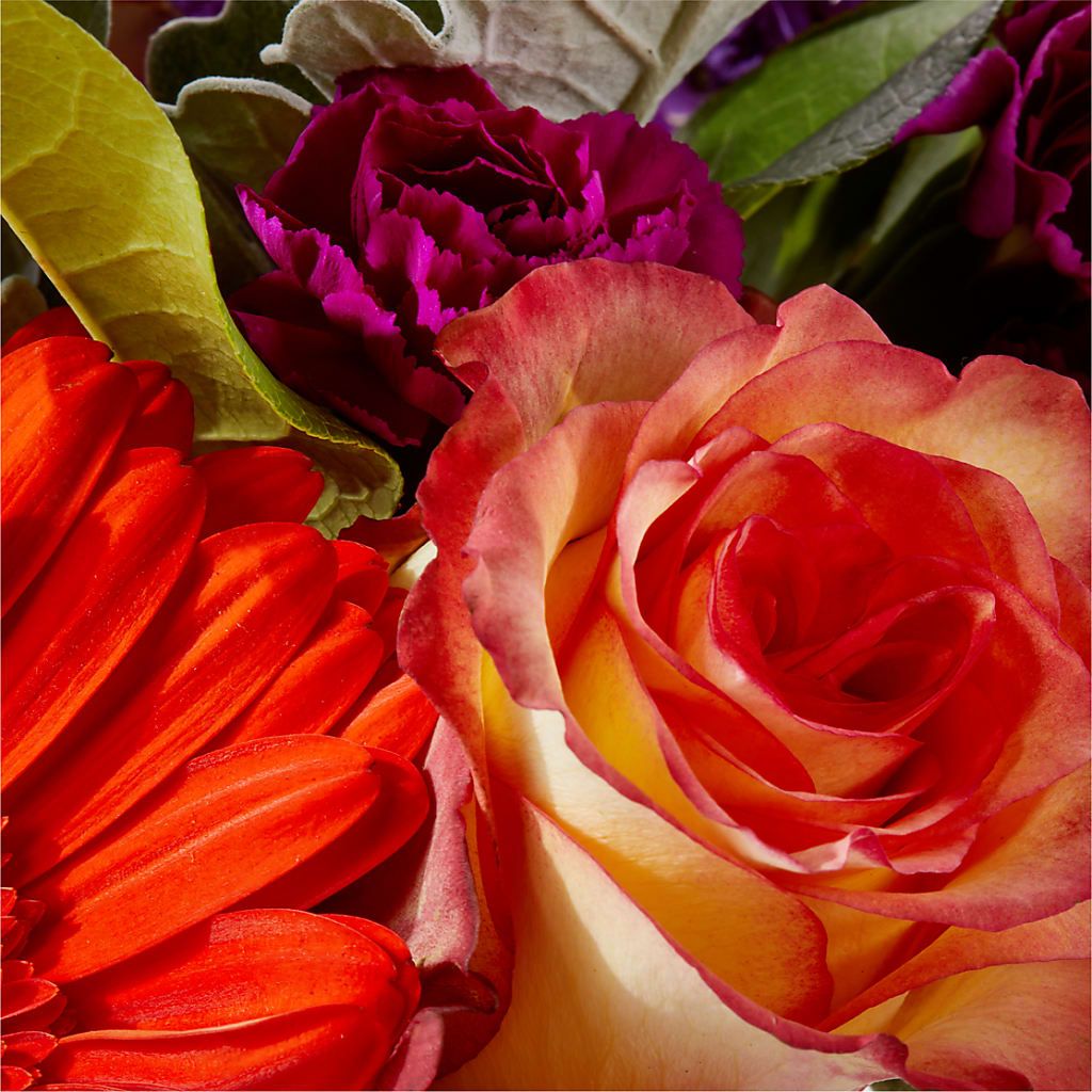 Sangria Bouquet –  Aiello Mid-town Florist, Kenosha WI