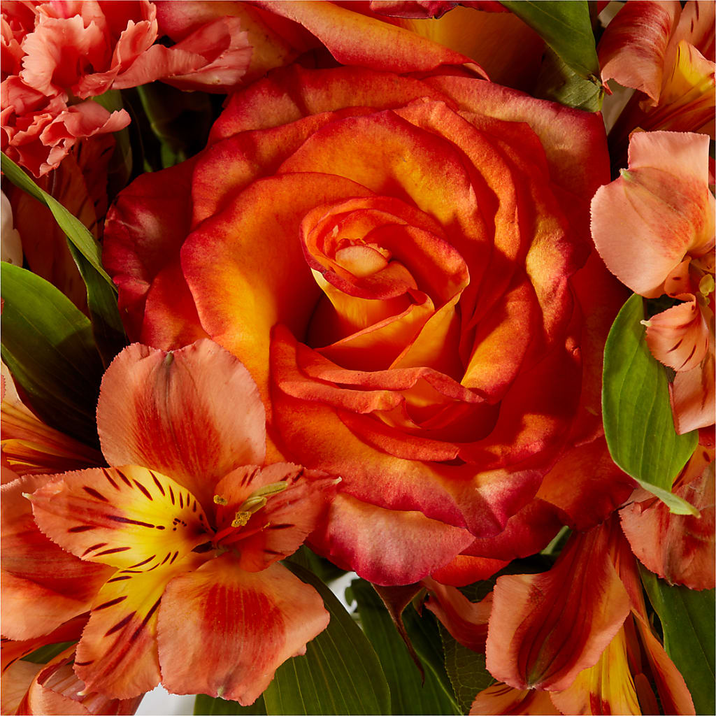 Apricot Glow Bouquet –  Aiello Mid-town Florist, Kenosha WI