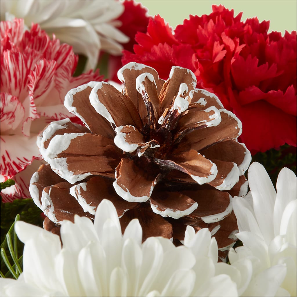 Candy Cane Lane Bouquet –  Aiello Mid-town Florist, Kenosha WI