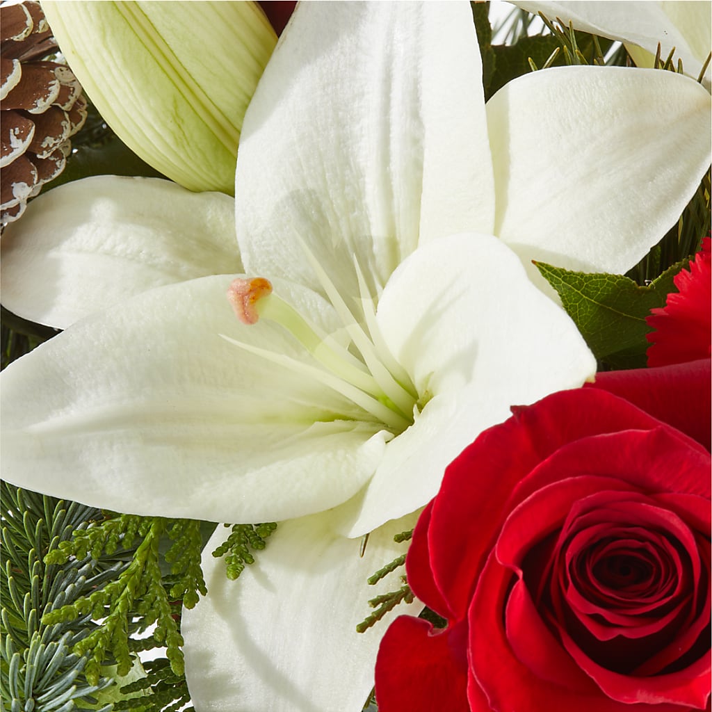Oh So Jolly Bouquet –  Aiello Mid-town Florist, Kenosha WI