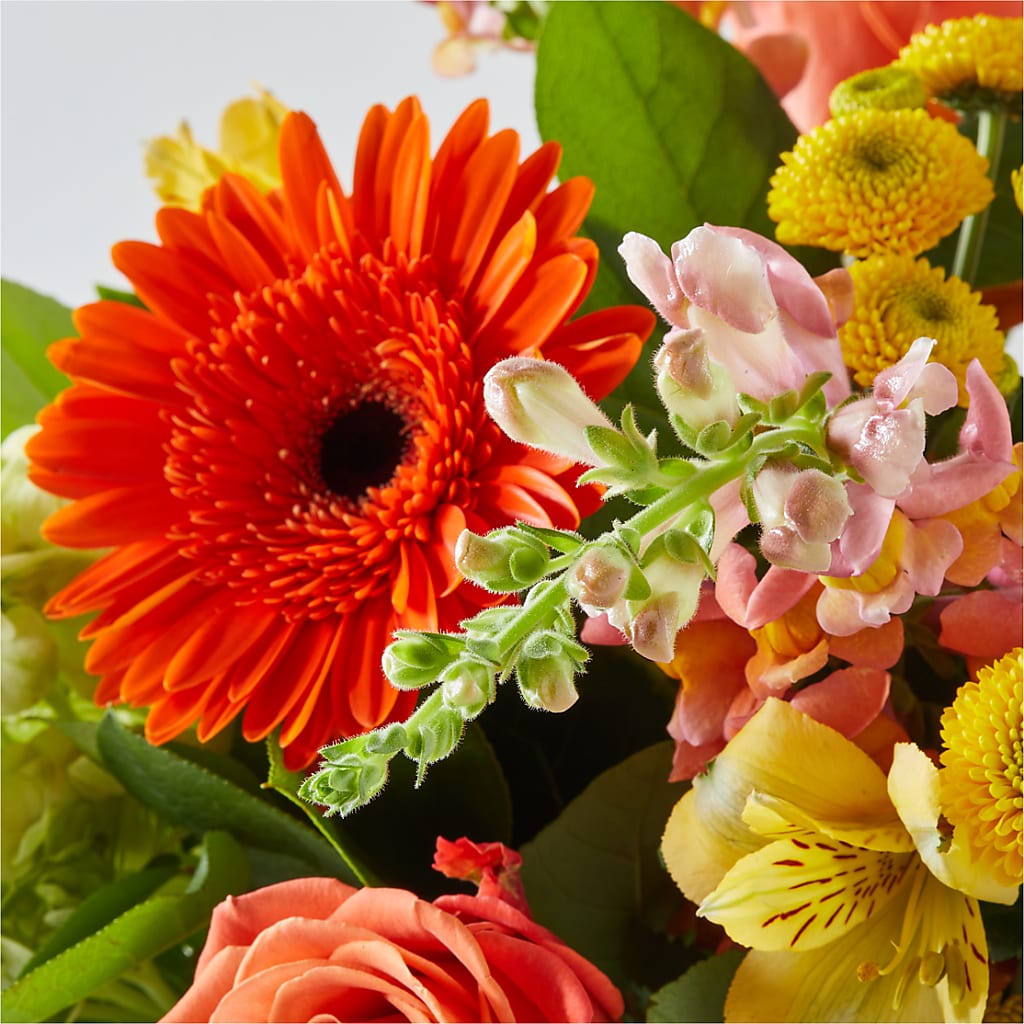 Autumn Sunshine Bouquet –  Aiello Mid-town Florist, Kenosha WI