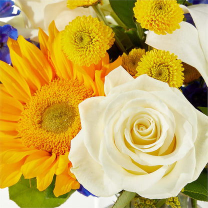 Stargazing Bouquet –  Aiello Mid-town Florist, Kenosha WI
