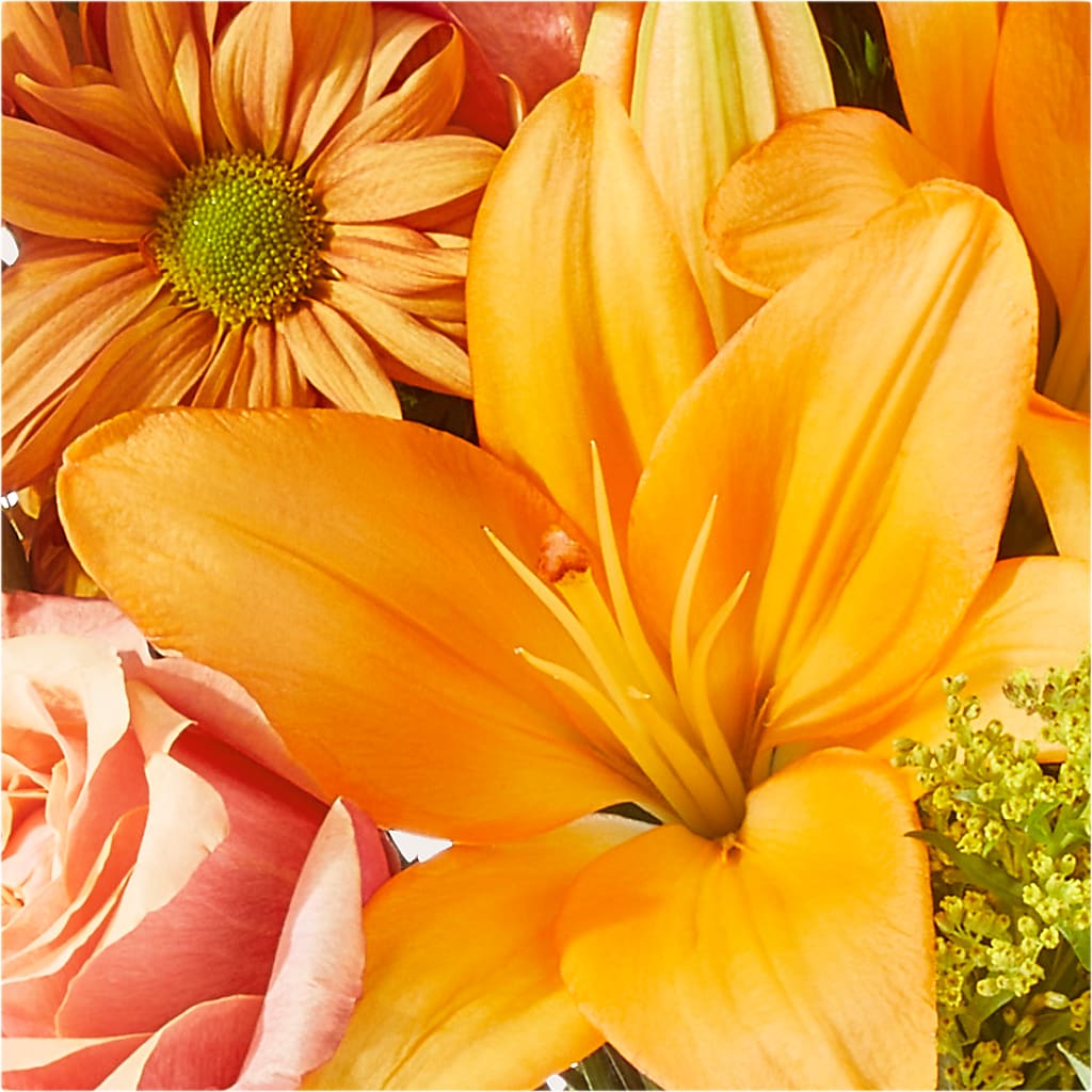 Harvest Hayride Bouquet –  Aiello Mid-town Florist, Kenosha WI