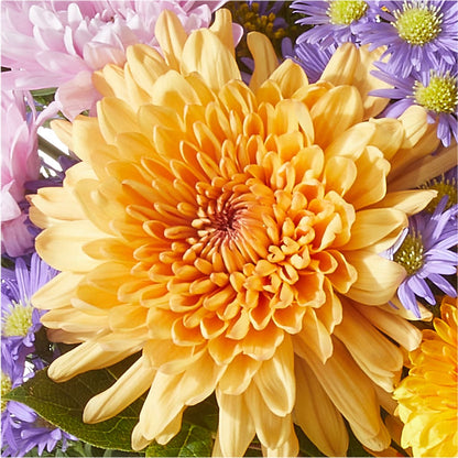 Countryside Bouquet –  Aiello Mid-town Florist INC, Kenosha WI