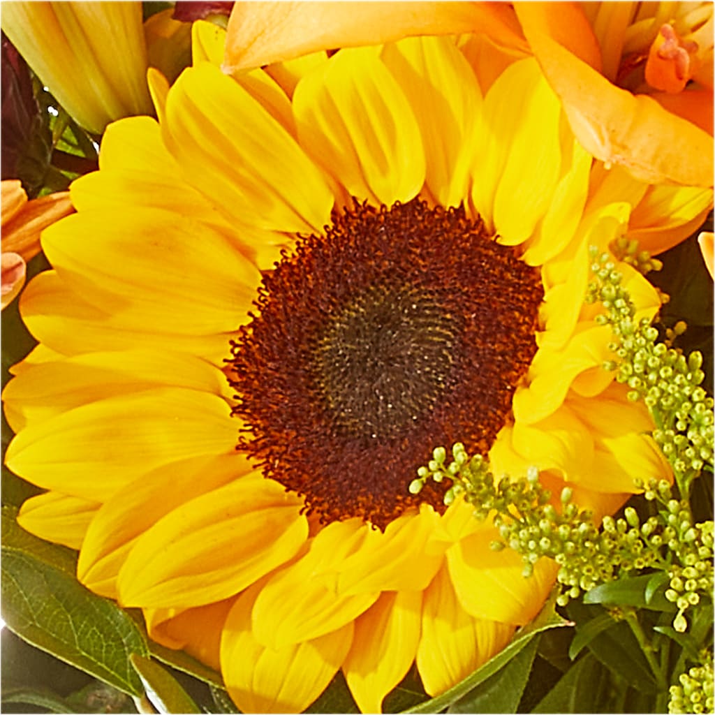 Seasons Change Bouquet –  Aiello Mid-town Florist, Kenosha WI
