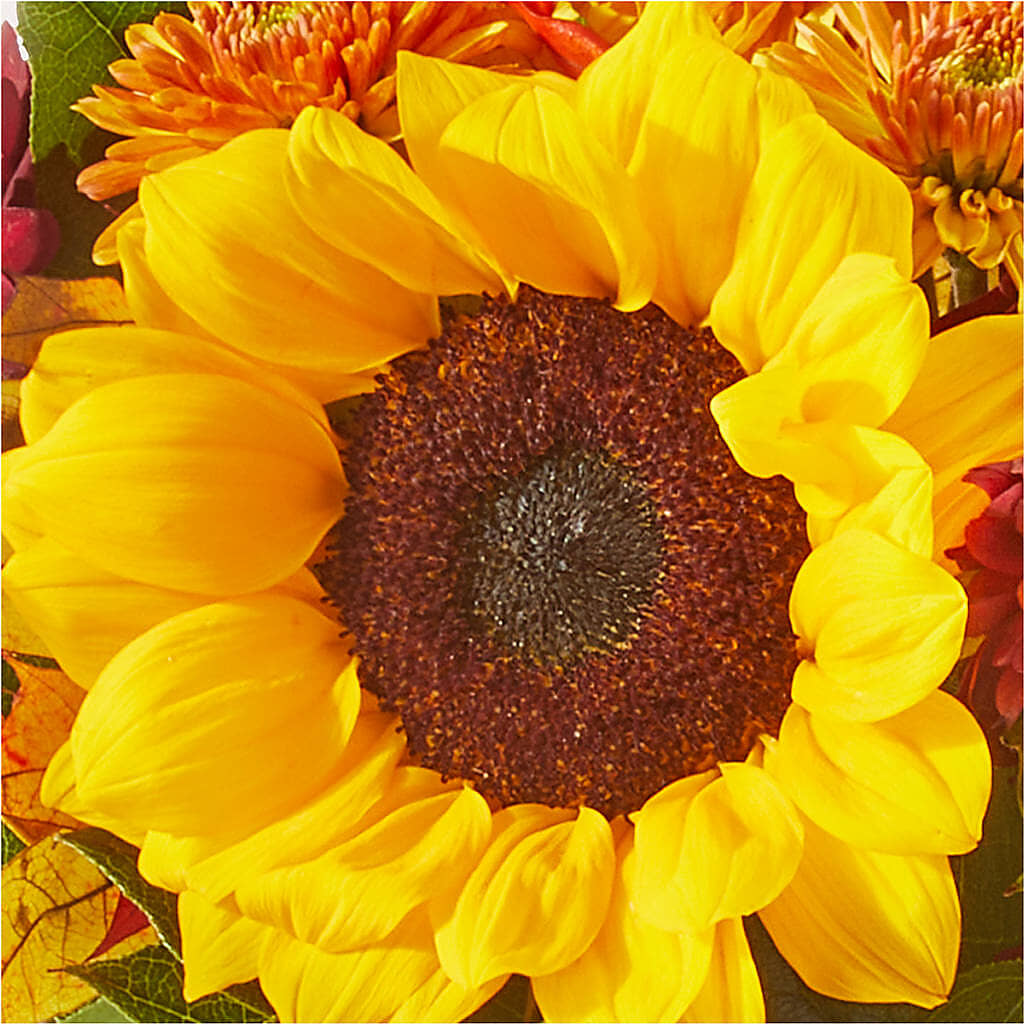 Sunny Side Bouquet –  Aiello Mid-town Florist, Kenosha WI