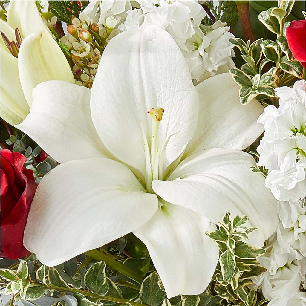Twinkle Lights Bouquet –  Aiello Mid-town Florist, Kenosha WI